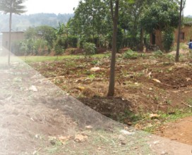 rwanda_school grounds