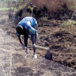Projekt Schulgarten, Festlegung der Baumreihe, Apac Uganda