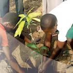 Projekt Schulgarten, der erste Mangobaum ist gepflanzt Apac,Uganda